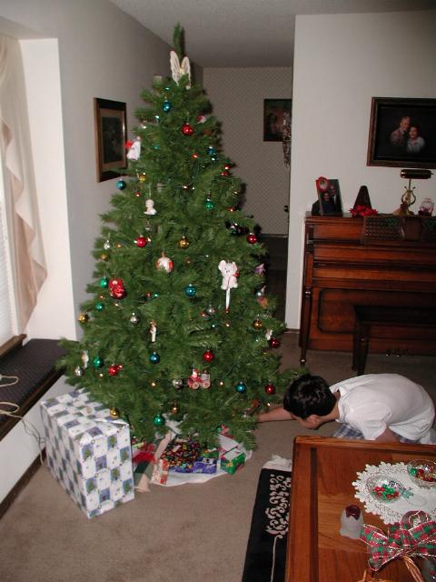 Presents Under the Tree